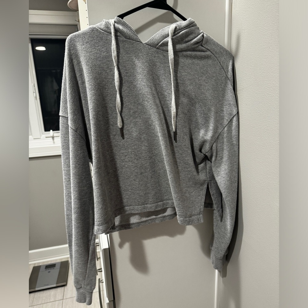 Cropped sparkly gray sweatshirt crop top
